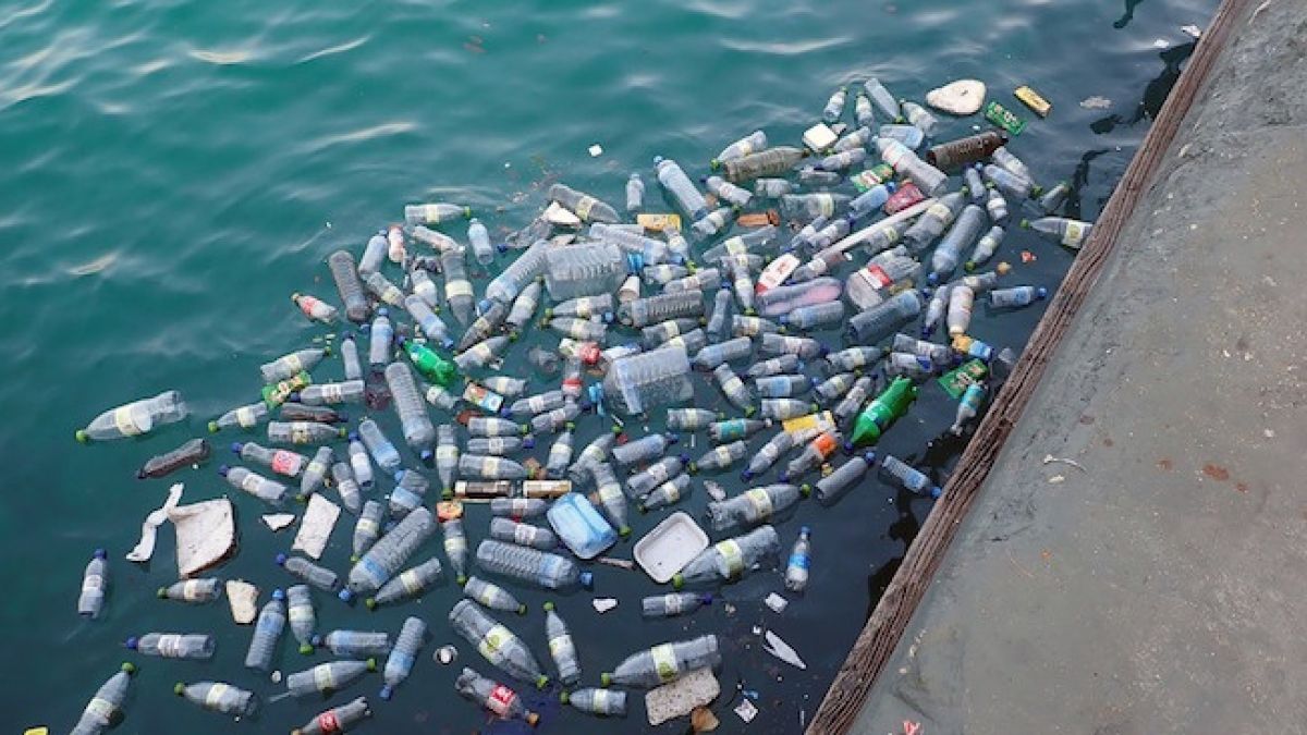 В Средиземно море става страшно  