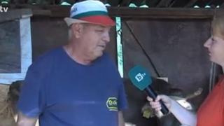 Стопанинът на Пенка благодарен: Тя стана символ за всички българи