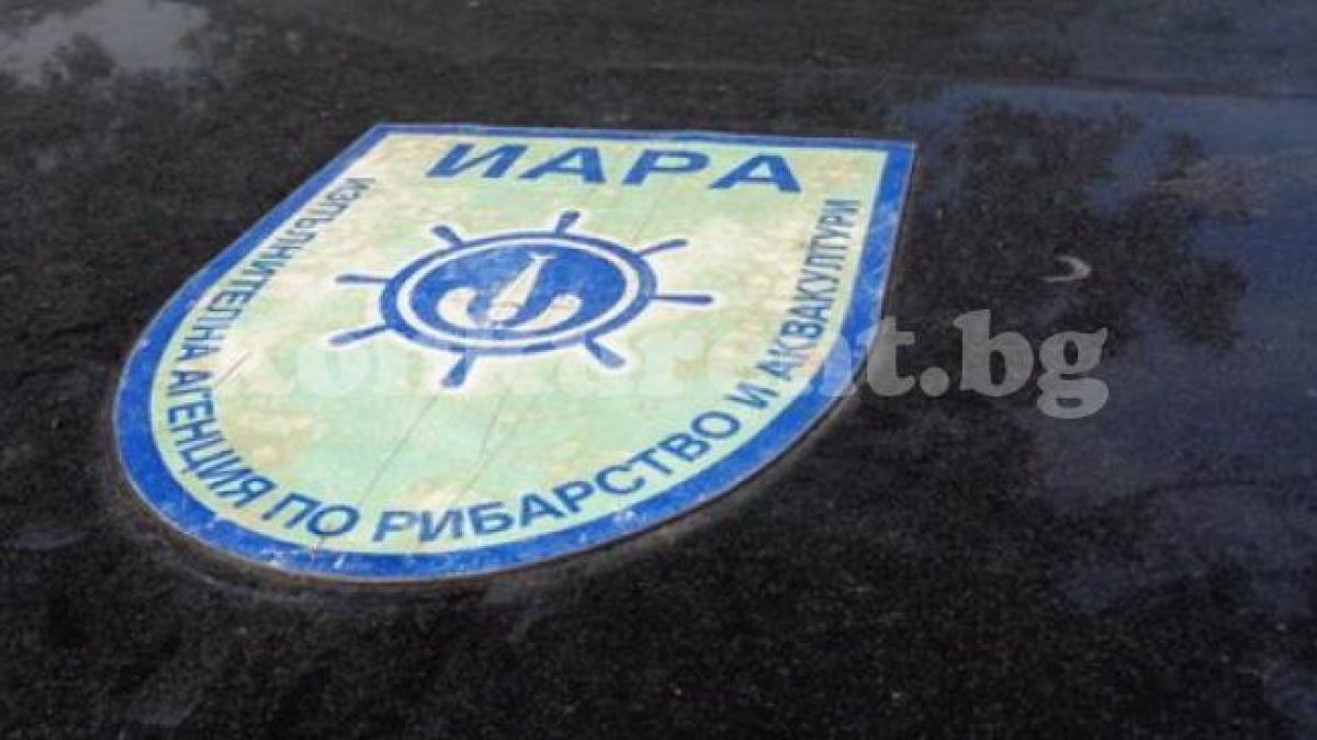 Екшън: Бракониер влачи служител на ИАРА