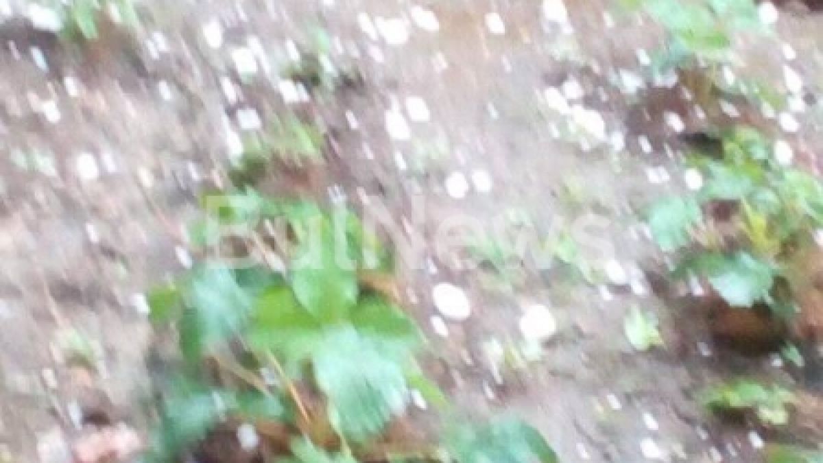 Силна буря удари Северозапада - град и силен дъжд наводниха улиците (СНИМКИ)