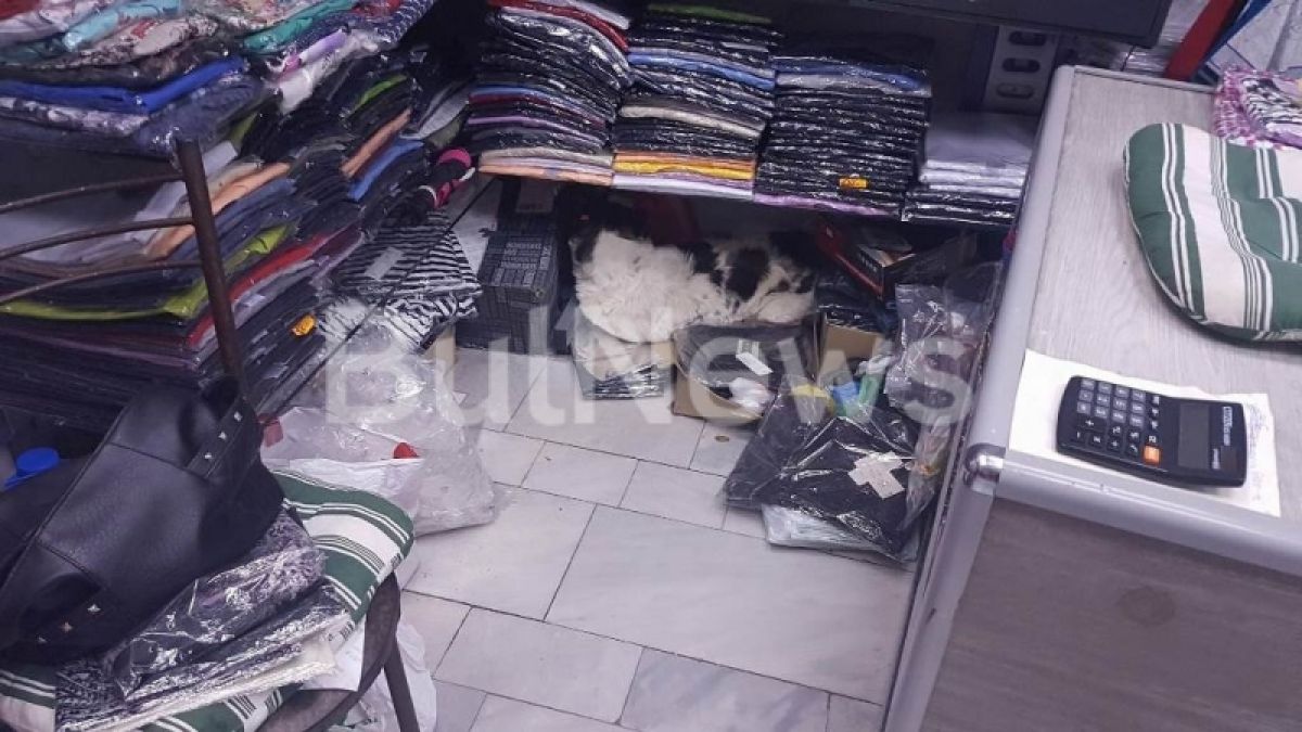 Паника в центъра на Враца! Улично куче нахлу в магазин и.. (ВИДЕО)