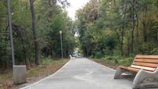 Пловдивчани пропищяха от голяма напаст, удря в ушите със звук на излитащ самолет