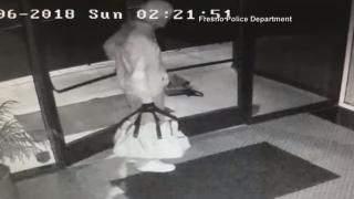Крадец успя да влезе в сграда, но след това направи нещо толкова странно, че целият свят му се чуди (ВИДЕО)