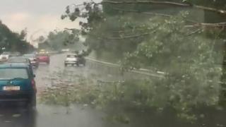 Затиснатият от дърво шофьор в Бургас: Небето се отвори и над нас се изсипваше ада! 