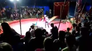 Мечка нападна дресьора си по време на представление в цирка пред очите на ужасените деца и родители (ВИДЕО 18+)