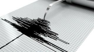 Земетресение с магнитуд 6.1 по скалата на Рихтер е регистрирано в Нова Зеландия
