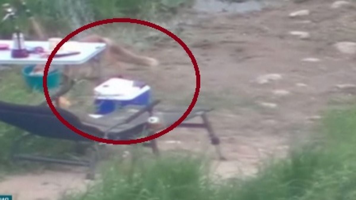Куриозно ВИДЕО: Лисица обра рибари в Литва!