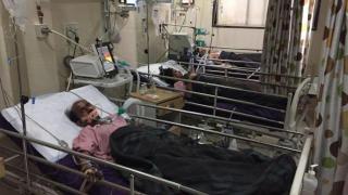 Обидена готвачка нахрани близките си с гозби, подправени с отрова за змии (СНИМКИ) 