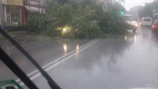 Спасиха бедстващия шофьор в Пловдив, но градът плува във вода 