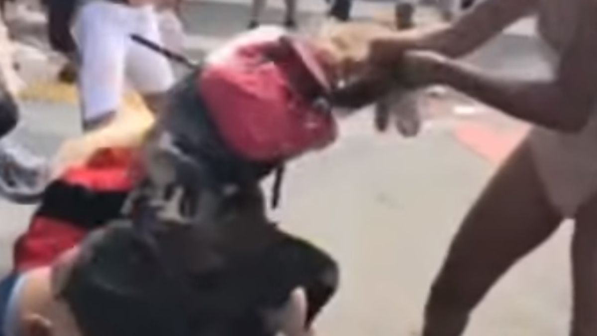 Зрелищно ВИДЕО: Лесбийки се бият на фестивал на сексуалните малцинства