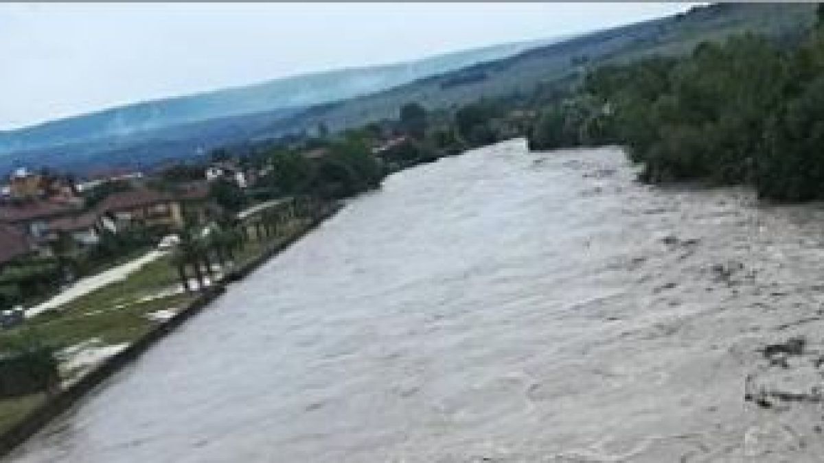 Мистерия зад смъртта на мъжа от Роман