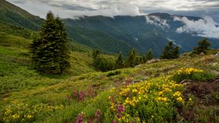 Пълна прогноза за март, идат температури с амплитуда от 30ºC