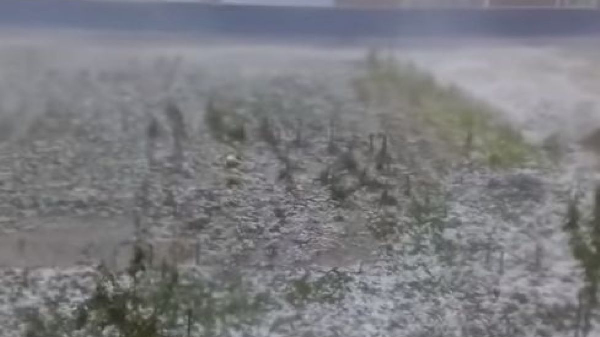 Ледени топки за тенис заваляха от небето и съсипаха Краснодар (ВИДЕО)
