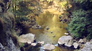 Туристка отиде да събира тен край река Мелнишка и се позлати от главата до петите