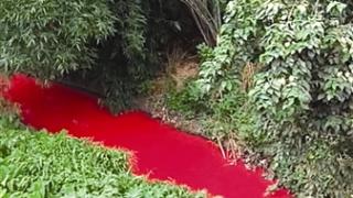 Река в Югозападен Китай почете в кървавочервено, местните са в шок! (ВИДЕО)