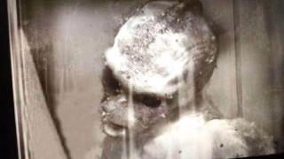 Зловеща СНИМКА на "русалка" на Финиъс Барнъм от 1865 година предизвика нови въпроси 