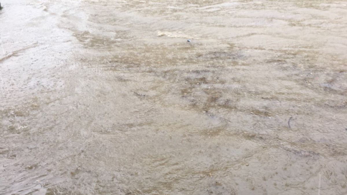 Сигнал до БЛИЦ: И Ловеч е под вода (СНИМКИ)