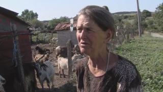 Румен Порожанов отива при протестиращите животновъди в Ямболско