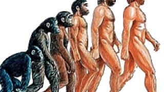 Падна една от най-популярните хипотези за произхода на човека!