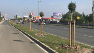 Фандъкова се вбеси от тази невиждана простотия край Околовръстното (СНИМКИ)