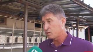 Първият животновъд с евтанизирани животни: Не се съмнявам в действията на БАБХ
