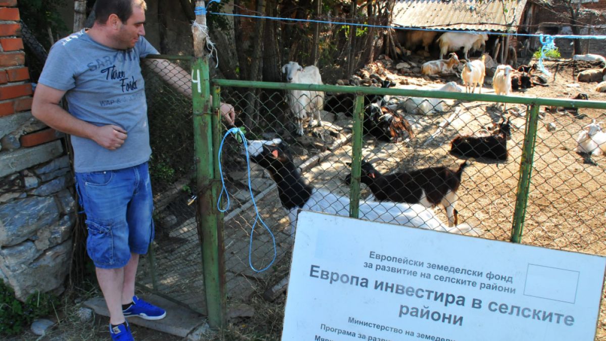 Отлагат планираното за днес умъртвяване на животни