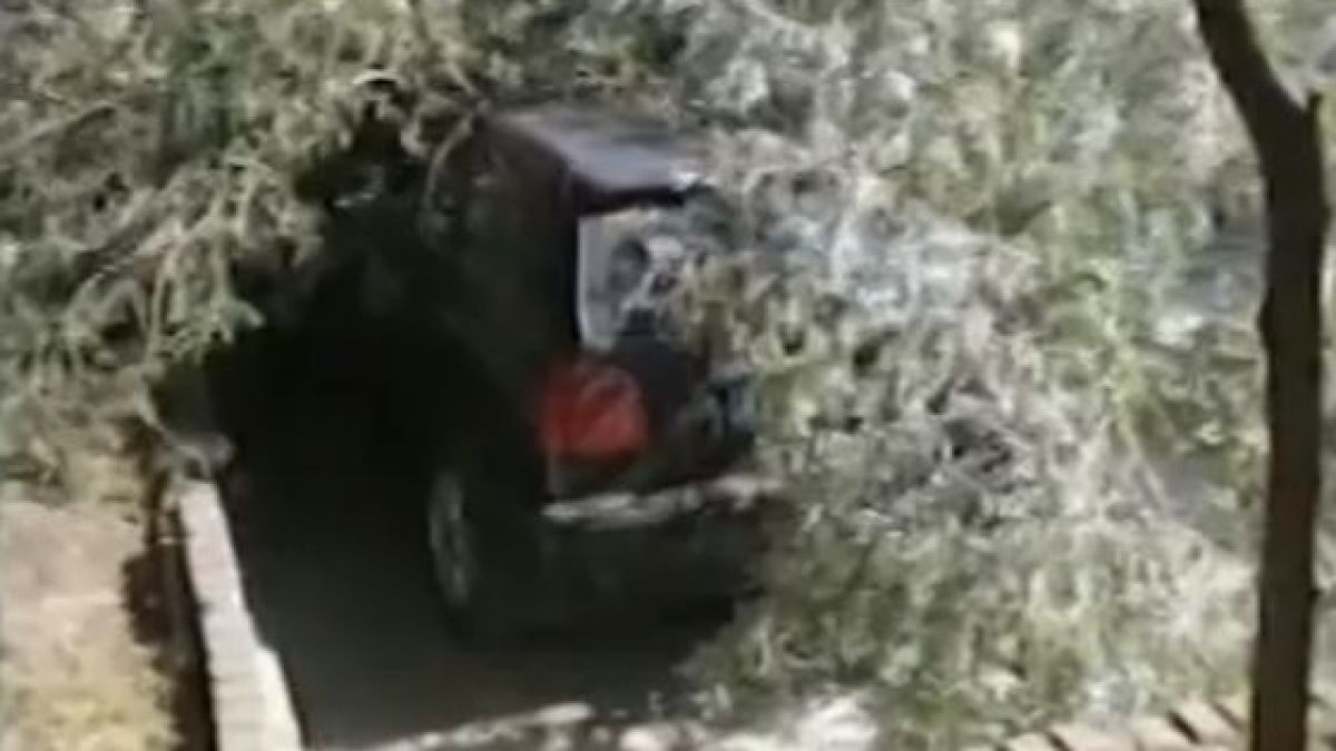 Семейство от Русе отиде на плаж в Кранево, но дори не подозираше какво нещастие ще го сполети (ВИДЕО)