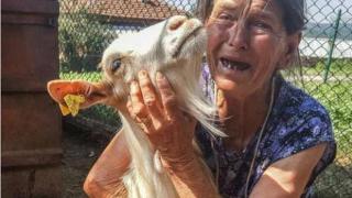 Ексклузивно в БЛИЦ! Кеворкян взривяващо: Уж си просят боя. Чумосване
