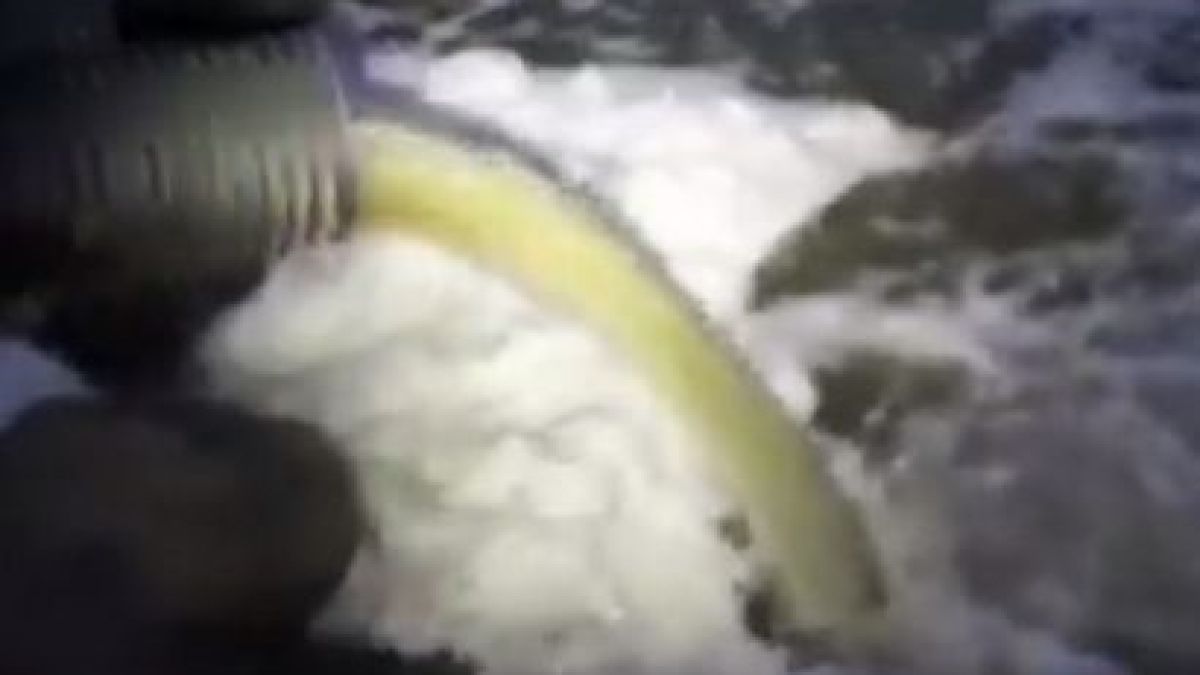 Мрежата прегря заради ВИДЕО с фекалии в морето край Солниците в Бургас, истината обаче е друга (СНИМКИ)