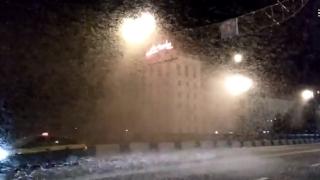 Зловещо ВИДЕО: Хиляди прилепи нападнаха Беларус 