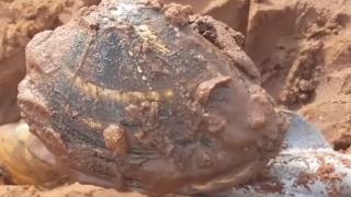 Момиче видя в пясъка на плажа дупки и наля в тях солена вода, след секунди ще разберете защо