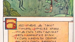 Ако минавате  през парка  „Заимов”,  погледнете вдясно ...