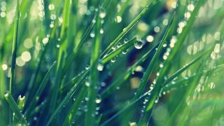 Дълго чакана прогноза за новата седмица