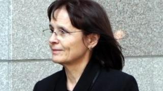Политически мотиви в делото за Пирин