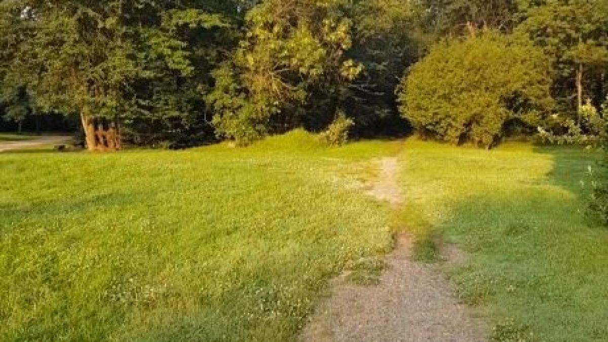 Гледка като след торнадо завариха столичани в Западен парк, истината, обаче, е много по-грозна (СНИМКИ)