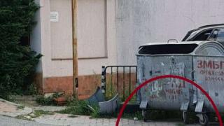 Гнус в Бояна! Премазана котка се разлага пред ресторант "Проя", на персонала не му дреме 