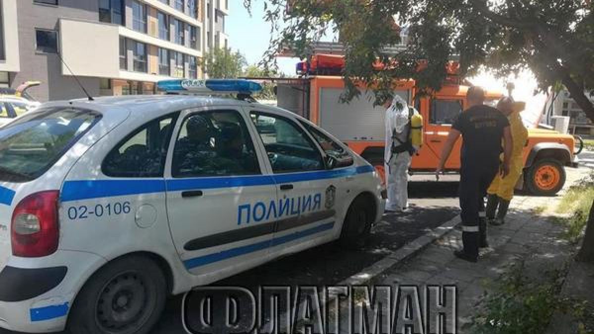 Директно от апартамент на ужасите в Бургас: Човешки труп гниел с месеци, главата му - разложена (СНИМКА)