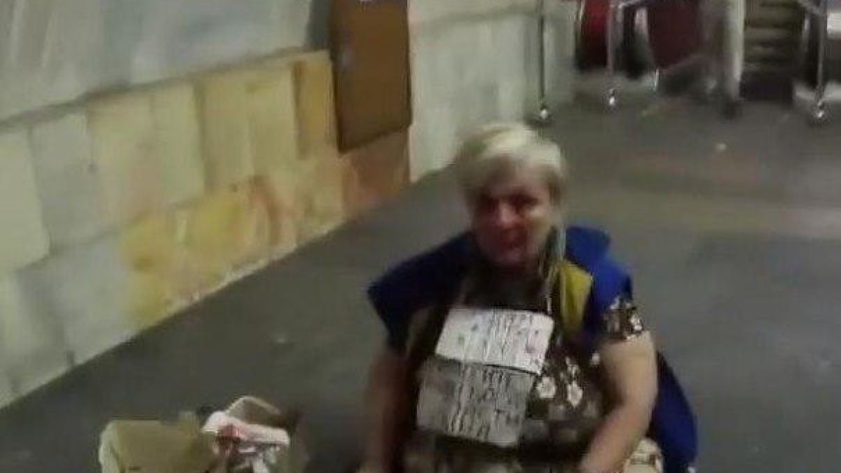 Доброволци решиха да вземат котето на просякиня в метрото и тя го загриза (ВИДЕО)