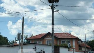 Волтова дъга уби над 50 бели щъркела