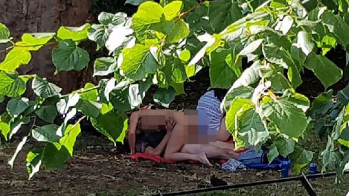 Секс оргия посред бял ден в градски парк (СНИМКИ 18+)