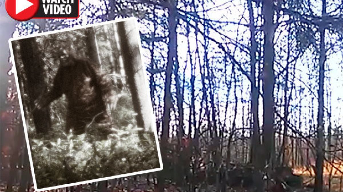 Камера, поставена в гора, засне доказателства за съществуването на Йети (ВИДЕО)