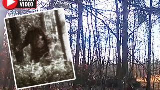Камера, поставена в гора, засне доказателства за съществуването на Йети (ВИДЕО)