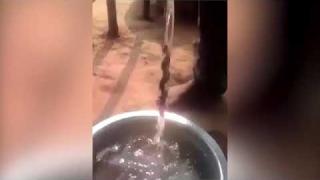 ВИДЕО с удивителна пръчка възхити мрежата