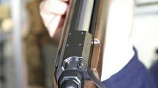 Криминален тип простреля домашно куче от кола с дрогирана шофьорка
