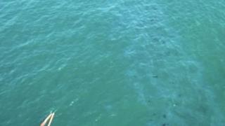 Адът за туристите в Созопол е край своя край (ВИДЕО)