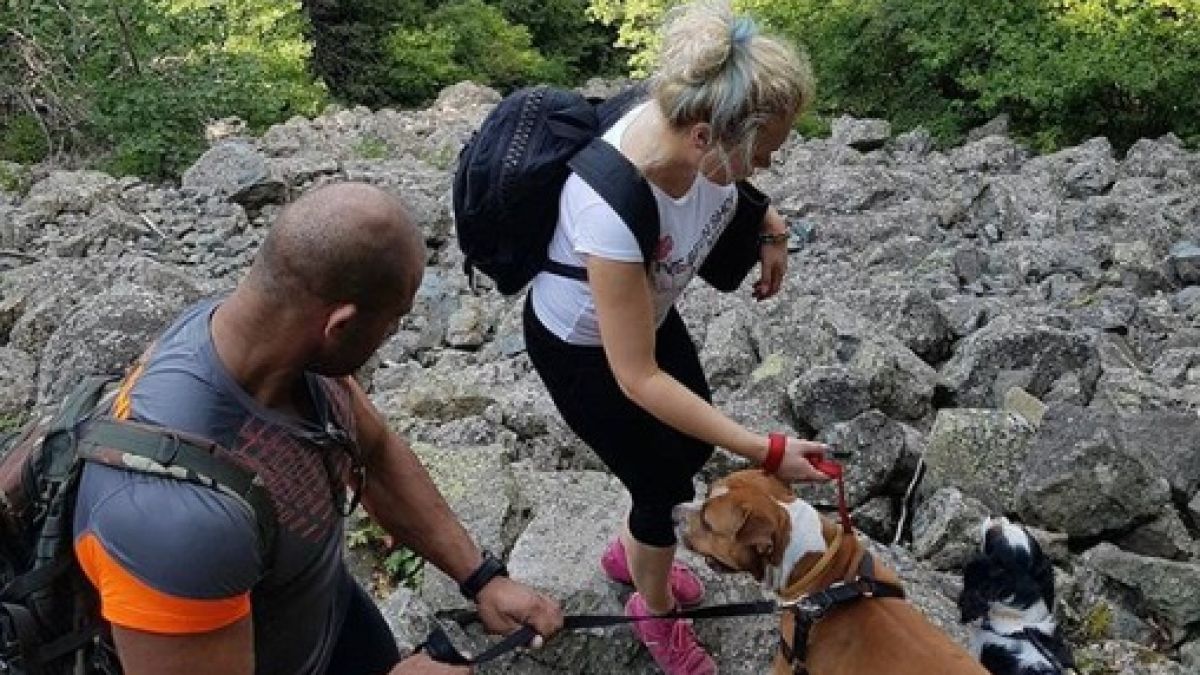 Албена Вулева се раздели окончателно с Недик! Разочарована е от мъжете