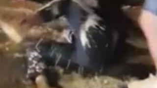 Нападател опита да залее мъж със сярна киселина, но ще съжалява цял живот за това действие (ВИДЕО)