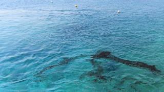 И в Северно море разляха нефт, но още не знаят как 