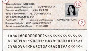 Новите документи и Дворец на паспорта "глътват" 238 млн. лева (СНИМКИ)