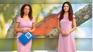 Водеща на Bulgaria ON AIR и синоптичка шашардисаха зрителите с рокли и прогноза за "облачно с кюфтета" (СНИМКИ)